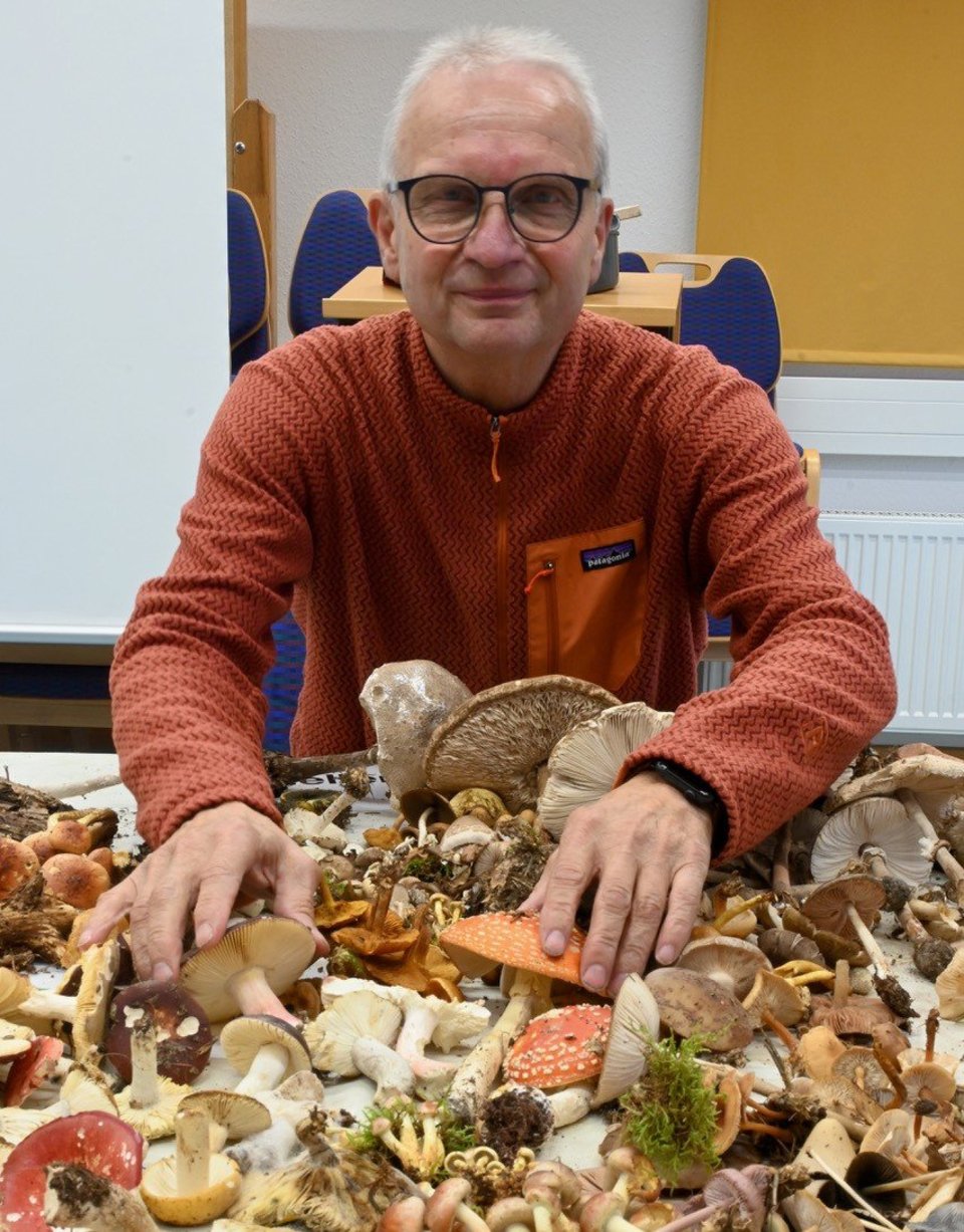 Eine Person an einem Tisch mit einer Menge an verschiedenen Pilzen der diese sortiert und betrachtet